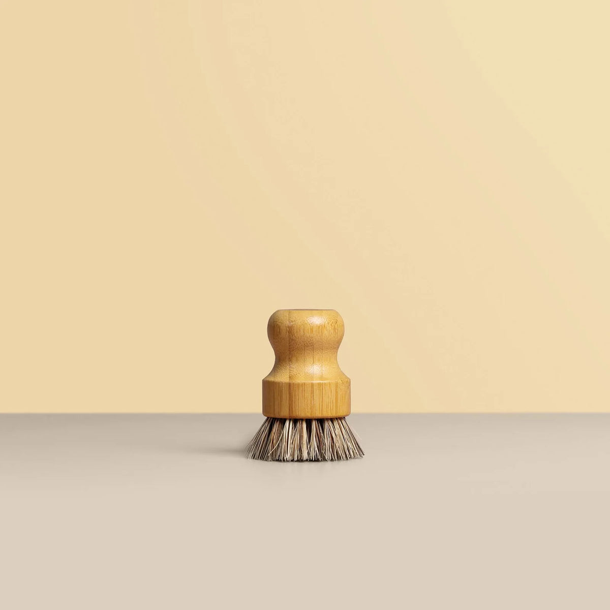 Dish Brushes 2 Pack