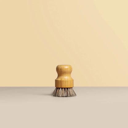 Dish Brushes 2 Pack