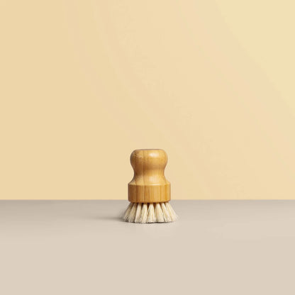 Dish Brushes 2 Pack