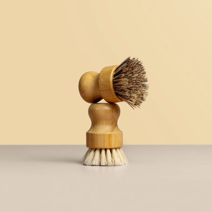 Dish Brushes 2 Pack